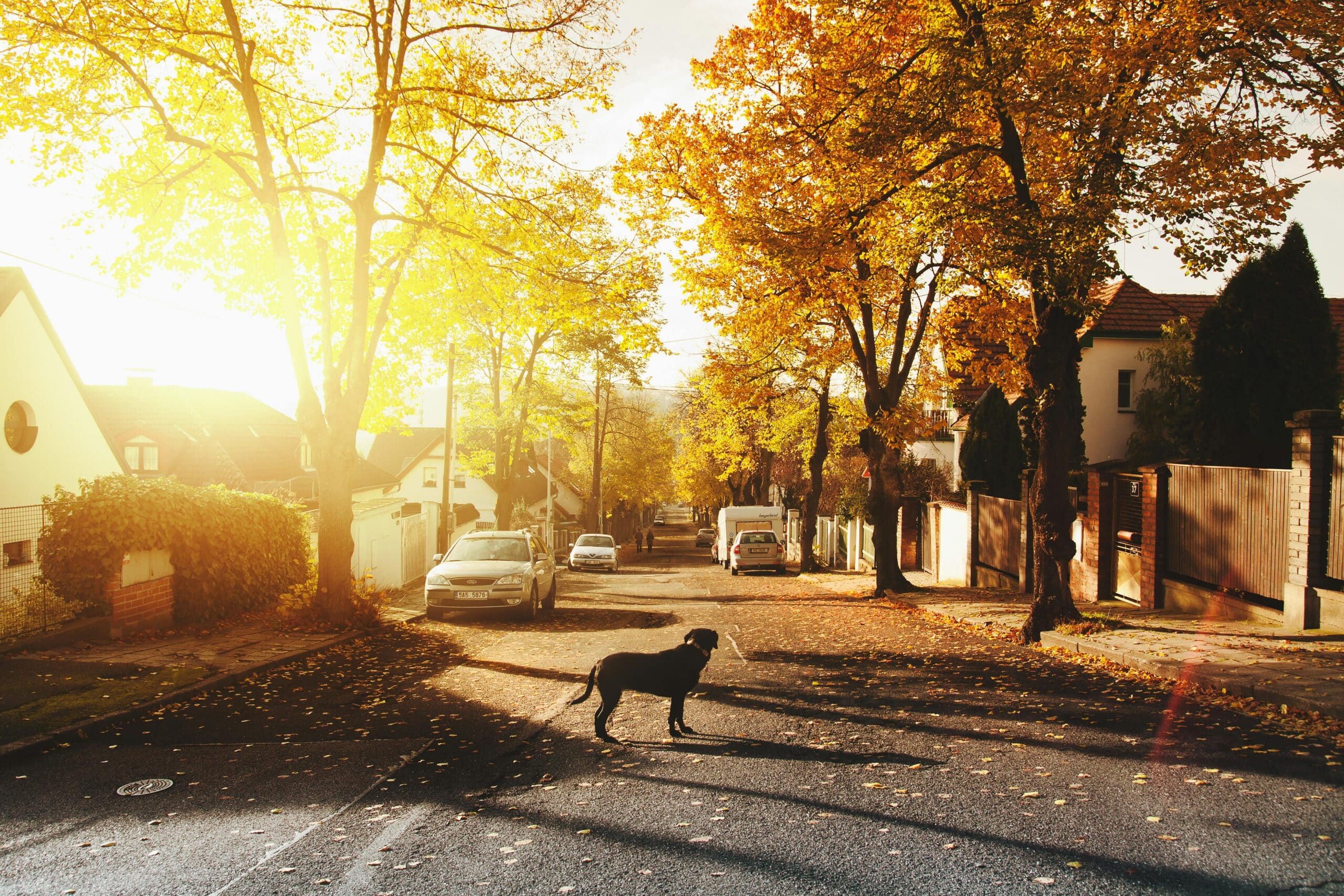 Cobb County neighborhood